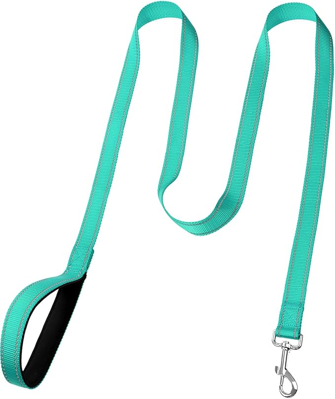FunTags 6FT Reflective Dog Leash with Soft Padded Handle for Training,Walking Lead for Medium & Small Dogs,3/4 Inch Wide,Turquoise