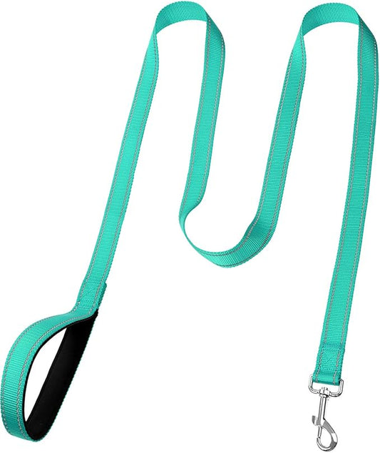 FunTags 6FT Reflective Dog Leash with Soft Padded Handle for Training,Walking Lead for Medium & Small Dogs,3/4 Inch Wide,Turquoise