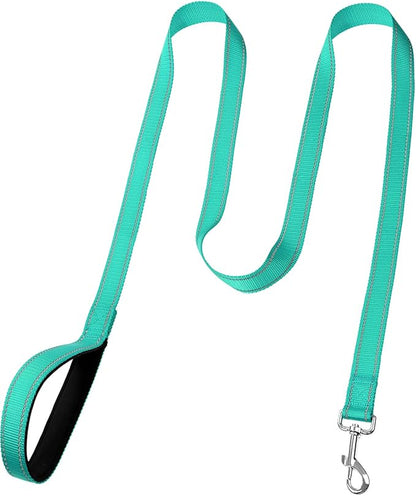 FunTags 6FT Reflective Dog Leash with Soft Padded Handle for Training,Walking Lead for Large, Medium,Turquoise