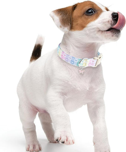 Faygarsle Pastel Butterfly Print Dog Collar, Adjustable with Quick-Release Buckle, Lightweight Summer Design for Small Medium Large Dogs Colorful XS