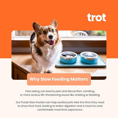 Trot Pets Premium Dog Bowls | Stainless Steel Bowl Set for Small, Medium, or Large Dogs | Non-Slip Food and & Water Slow Feeder | Durable, BPA-Free, Anti-Skid, Dishwasher Safe (Sky, Medium)