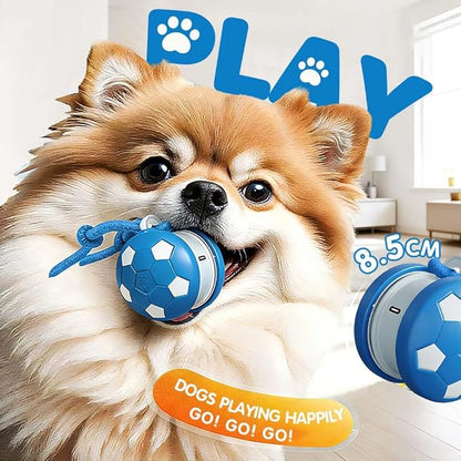 Interactive Dog Toys, 2026 Upgraded Motion-Activated Electric Automatic Rolling Ball with Rope, Random Path Movement, Rechargeable Boredom Relief Toy for Small Medium Large Dogs (Blue)