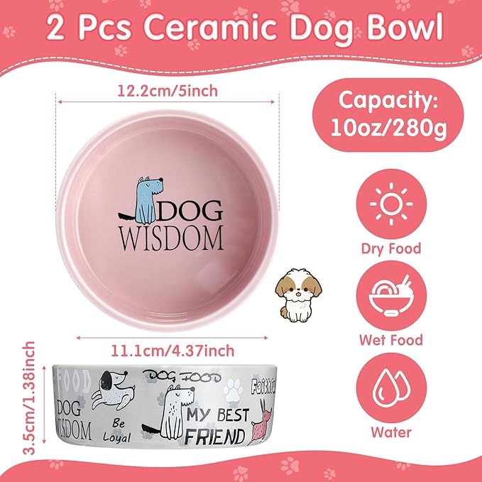 Maxcheck 2 Pcs 5 Inch Ceramic Dog Bowls Dishes for Small Dogs Cute Cartoon Pattern Puppy Cat Bowls Heavy Food Water Dishes for Pets Feeding Travel, Dishwasher Safe Microwave Safe(Pink and Gray)
