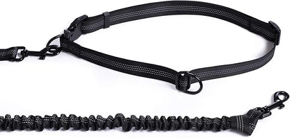 Mile High Life Hands Free Waist Leash for Dog Running Training and Jogging, Adjustable Belt with Double Handle, Reflective Bungee for Medium Large Dogs (Blue, 7FT)