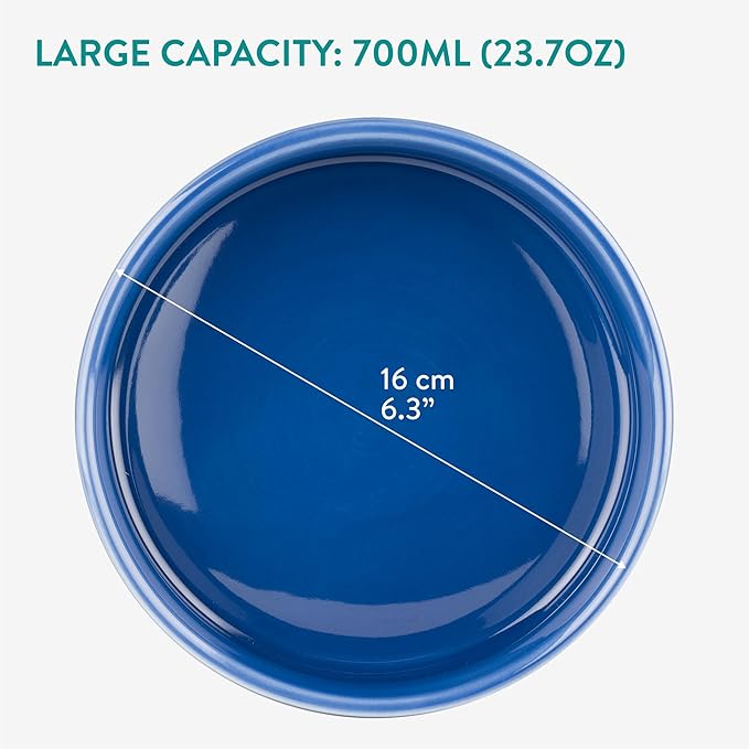 Navaris Dog Food and Water Bowl Set - 16 cm (6.3") Ceramic Bowls for Medium and Large Dogs or Big Cats - 700 ml (23.7 oz) Feeding Dish - Light Blue/Dark Blue