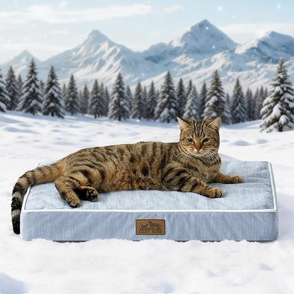 Cooling Dog Bed for Crate, Waterproof Dog Crate Mat with Removable Washable Cover, Orthopedic Egg Crate Foam Support, Small Dog Bed 24x16x3 Inch,Light Blue