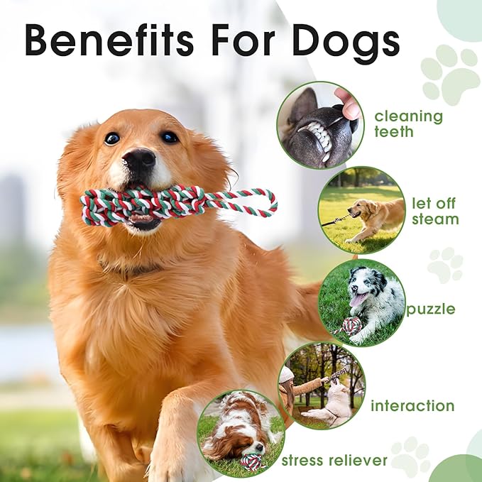 Bungee Tether Tug Outdoor Dog Toy with Stake,Tug of War Dog Toy for Aggressive Chewers to Keep Them Busy,Outdoor Interactive Dog Rope Toy for Medium/Small Dogs,Can Used On Lawns,Trees and Doors