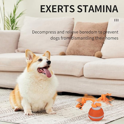 Auto Bouncing Pet Toy with Noise Maker ABS Indoor Outdoor Use for Puppy Exercise Chew Interactive Pet Ball