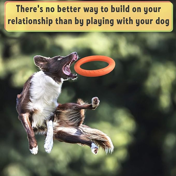 PetSpy Dog Ring Toy – Flying Ring for Outdoor Play, Floating Training & Fetch Toy for Throwing, Catching & Chewers – Durable EVA Flying Disc for Small, Medium & Large Dogs