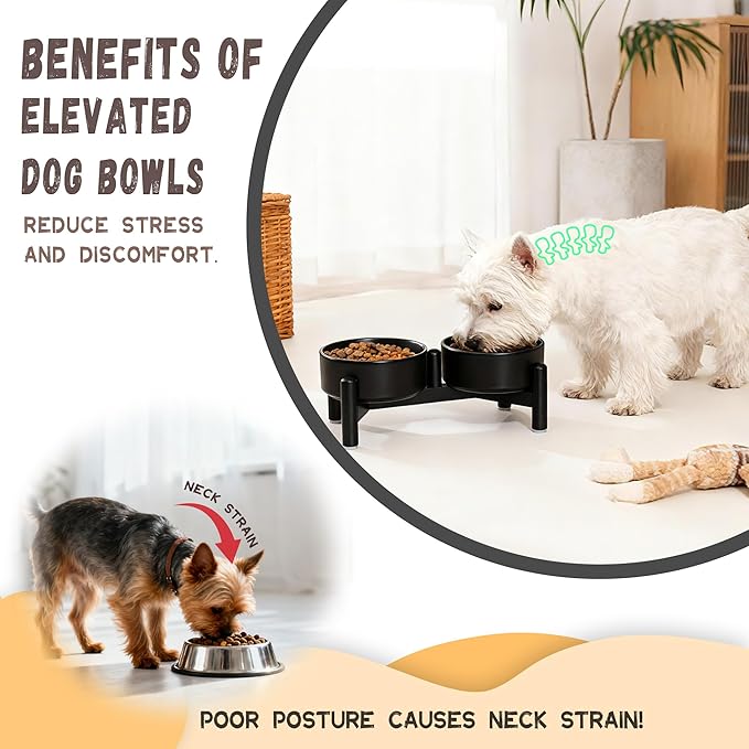Raised Ceramic Dog Bowl Set - Elevated Double Dishes with Stainless Steel Stand - Food and Water Bowls for Small Dogs and Indoor Cats - Each Holds 1.6 Cups (10.8 fl oz) - Pink
