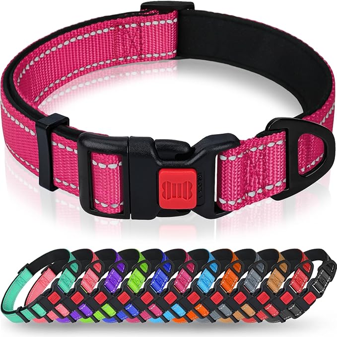 Taglory Reflective Dog Collar with Safety Locking Buckle, Soft Neoprene Padded Dog Collar for Medium Dogs, Metal D-Ring, Adjustable Nylon Neck Strap for Daily Walking, Training & Running, Hot Pink, M