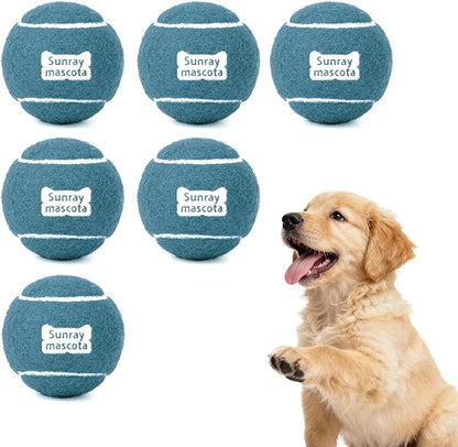 2.5" Dog Tennis Balls 6-Pack Silent Bounce, Tough Rubber Core, Durable Fetch & Training Toys for Indoor/Outdoor Play, for Small Medium Large Dogs (Prussian Blue, 6 Pack)