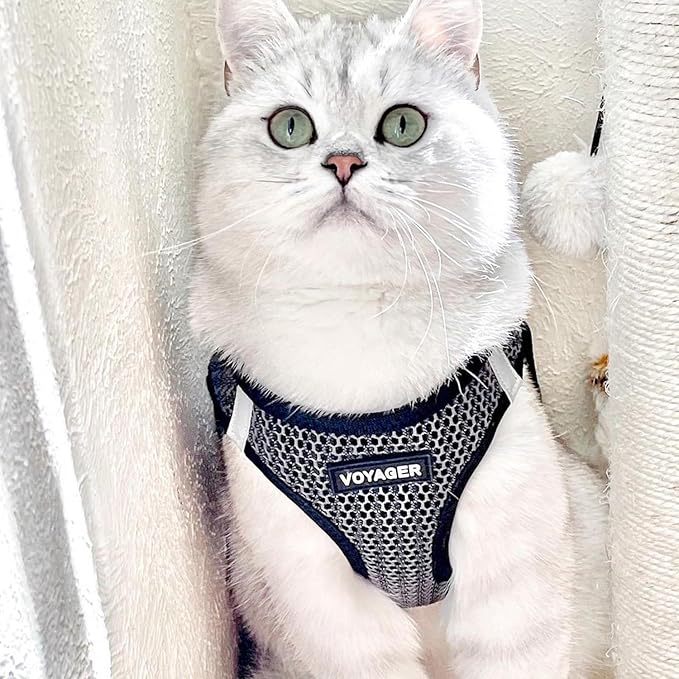 Best Pet Supplies - All Weather Mesh/Plush, Reflective, No Pull Harness for Small, Medium Dogs, Cats - Secure with Hook & Loop Fastener, Buckle, Double D-Rings - Gray 2-Tone, M