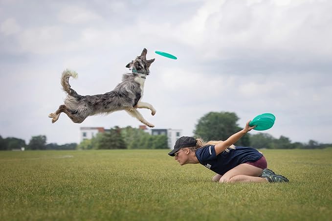 Hero Disc USA Hero Air 235 Dog Frisbee, Outdoor Dog Toy and Pet Frisbee, Lightweight Dog Flying Disc (Blue)