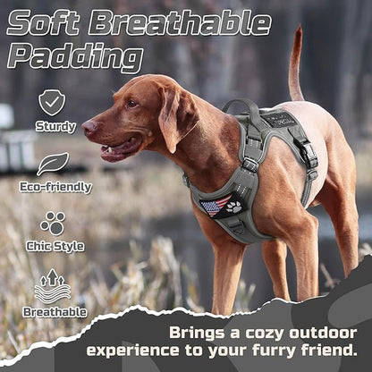 rabbitgoo Tactical Dog Harness Medium Sized Dog, No Pull Military Service Vest with Handle & Molle, Easy Control for Training Walking, Adjustable Reflective Straps, Dark Grey, M