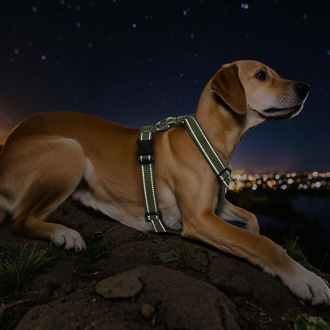 VavoPaw Dog Seat Belt Harness for Car, Dog Car Harness Adjustable Mesh Breathable & Dogs Seatbelt Safety Tether with Elastic Bungee for Small Medium Large Pets(Army Green, L)