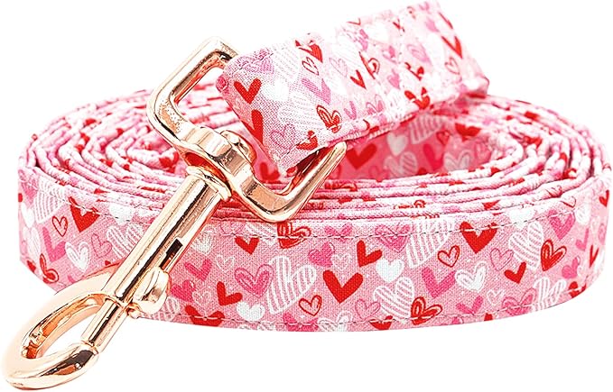 Dog Leash-Valentine's Holiday Love Heart Print Boy/Girl Durable Strong Dog Leashes Heavy Duty Comfortable Padded Pet Leash for Small Medium Large Dogs