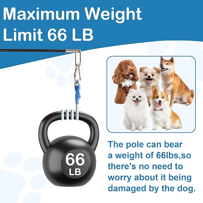 Flirt Pole for Dogs Interactive Dog Pole Toy for Large Medium Small Dogs, Sports Dog Teaser Pole for Tug of War, Flirt Pole with Lure Ball (Standard Pole + Elastic Rope)