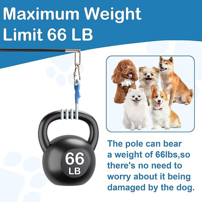 Flirt Pole for Dogs Interactive Dog Pole Toy for Large Medium Small Dogs, Sports Dog Teaser Pole for Tug of War, Flirt Pole with Lure Ball (Standard Pole + Elastic Rope)