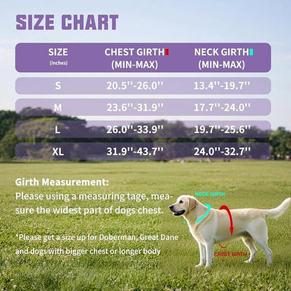 AUROTH Dog Harness and Leash Set, Soft Padded Service Dog Vest with 5.25FT Dog Leash, No Choke, Easy On Pet Vest, Adjustable Reflective No Pull Dog Harness for Large Dogs, Easy Walking and Training
