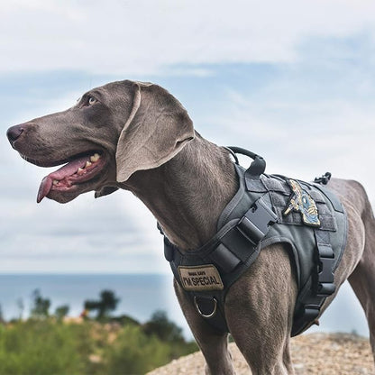 OneTigris Tactical Dog Training Vest No Pull Harness for Dogs,Adjustable Dog Hiking Harness Working Vest(Grey, Large)