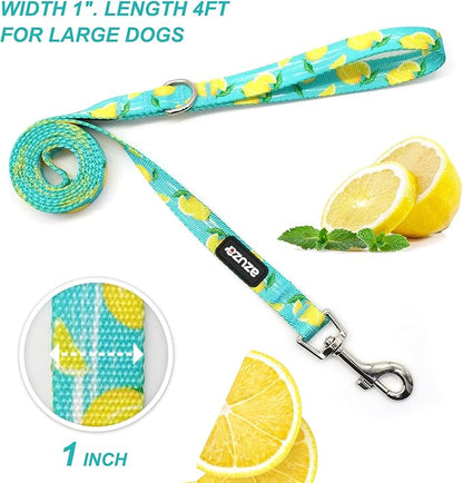 azuza 3 Pack Fruit Design Nylon Dog Leashes Strong & Durable Basic Dog Leash with Easy to Use Collar Hook for Large Dogs, L (4FT,1")