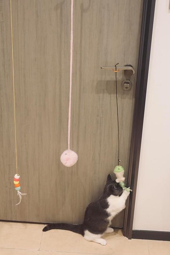 3 cat Toys. Cat Claw Game Tool. Feather Toys for Chasing Games