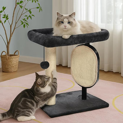 Amazon Basics Single-Platform Cat Tree with Scratching Post and Pad for Indoor Cats, 15.7 x 11.8 x 18.5'', Gray