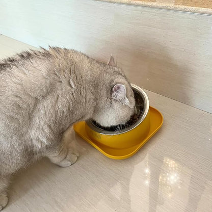 Tilted Cat Food Bowls, Cat Feeding Dishes Whisker Friendly, Slanted Flat Plastic Feeder Elevated Angled Design, 3 in 1 Combined Food Bowls(Yellow)