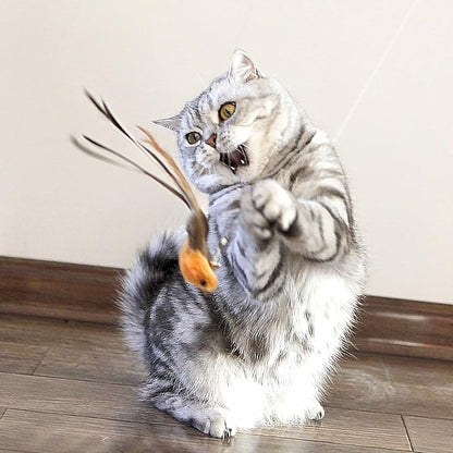 Interactive Cat Wand Toy Set – 2 Retractable Wands (38" & 50") with 11 Refills Attachments – Feather Toys, Plush Bird, Worms, Insect & Swallow – Cat Teaser Toys for Indoor Cats & Kittens