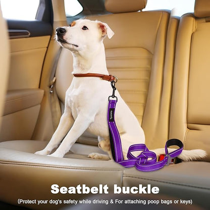 6 Foot Purple Dog Leashes for Large Medium and Small Breed Dogs That Pull,Reflective Nylon Heavy Duty Dog Leash with 2 Comfortable Padded Traffic Handles and Car Seat Belt for Walking and Training