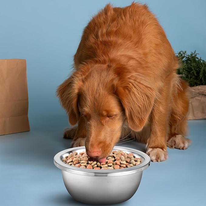 1 Gallon Large Dog Bowl Set of 6, Stainless Steel Metal Water Bowls 128oz High Capacity Heavy Duty Pet Food Bowl for X-Large and Giant Dogs, Easy to Clean