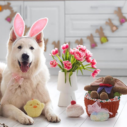 Nocciola Dog Easter Basket Dog Toys - Durable Stuffed Plush Bunny Dog Squeaky Toys for Small, Medium and Large Breeds, Easter Basket with Egg & Rabbit & Chick & Cake Puppy Toy
