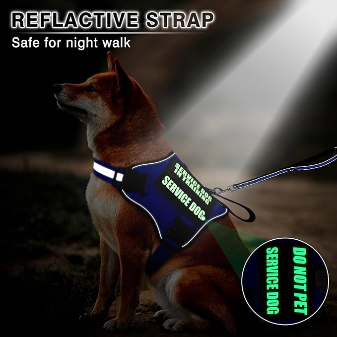 Service Dog Vest Harness and Leash Set+10 Patches,No Pull&Easy Walk Reflective Dog Harness with Soft Padded Handle for Training/Everyday,Fit Small/Medium/Large/Extra-Large Dogs (Blue XL)