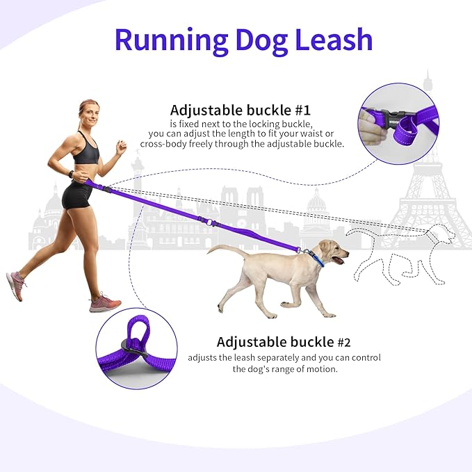 Kazazoo Hands-Free Dog Leash with Adjustable Length 6-9FT + Dual Padded Handles Reflective Safety for Walking, Jogging & Training | Suitable for Medium to Large Dogs & Puppies Purple-L