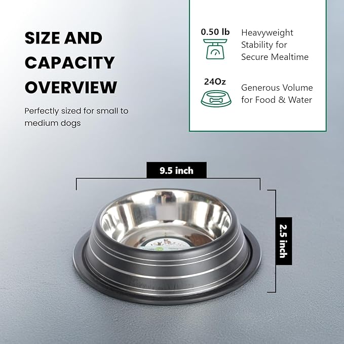 Iconic Pet 3 Cup/24 Oz Elegant Stainless Steel Color Splash Food/Water Bowl with Non Skid, Noise Free, Removable Rubber Ring - Dog/ Cat Feeding Bowl In color shade, Dishwasher Safe - Black, 2 Bowls