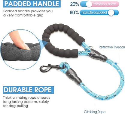BAAPET 2/4/5/6 FT Dog Leash with Comfortable Padded Handle and Highly Reflective Threads for Small Medium and Large Dogs (2FT-1/2'', Blue)