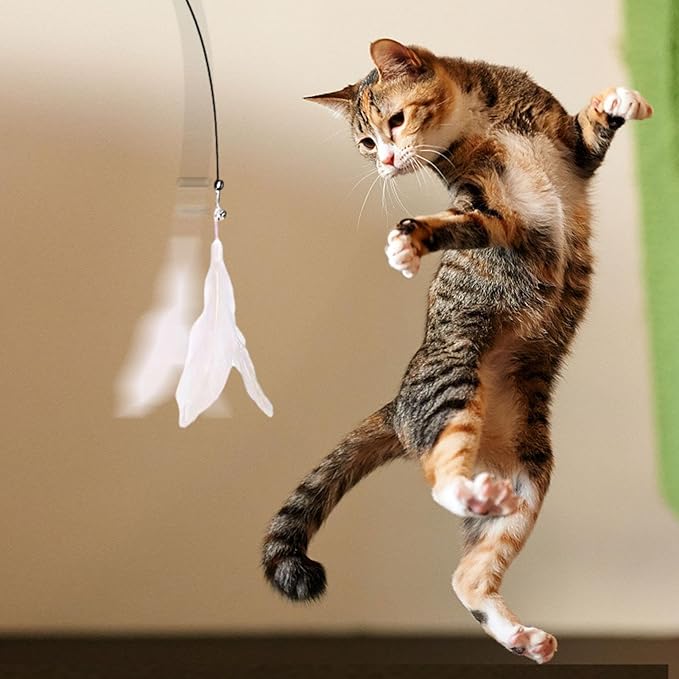 Cat Wand Toy - Flexible Feather Teaser Stick, Detachable Cat Play Wand | Interactive Cat Toy with Suction Cup, Easy-to-Install Cat Exercise Stick Toy, Cat Entertainment Wand for Exercise and Fun