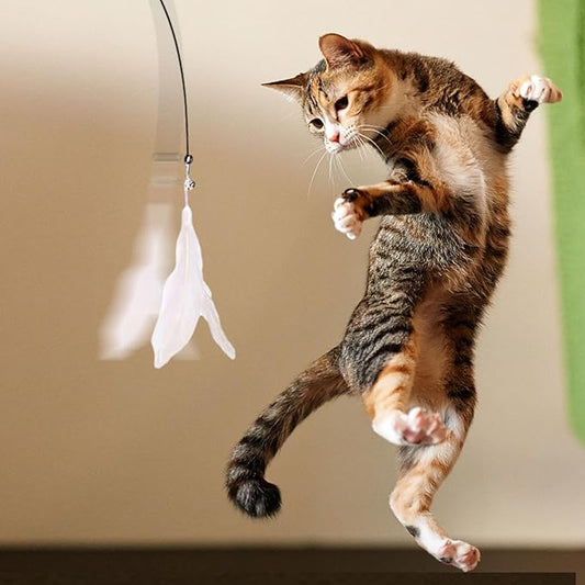 Cat Wand Toy - Flexible Feather Teaser Stick, Detachable Cat Play Wand | Interactive Cat Toy with Suction Cup, Easy-to-Install Cat Exercise Stick Toy, Cat Entertainment Wand for Exercise and Fun