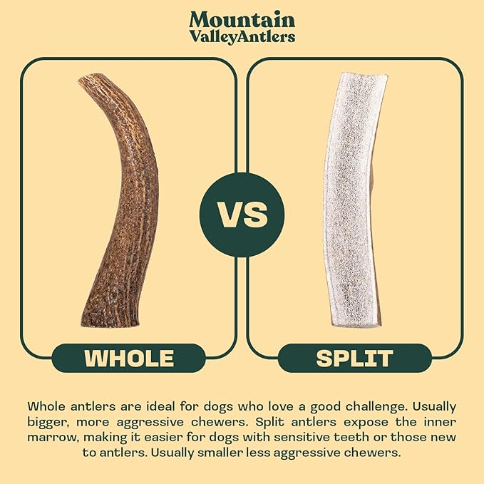 Mountain Valley Mixed Species Antlers for Dogs - 100% Natural & Organic Chew for Aggressive Chewers, No Odor, No Mess, Long Lasting - Wild-Foraged Naturally Shed Antler in USA - Grade A Pack (1 LB)