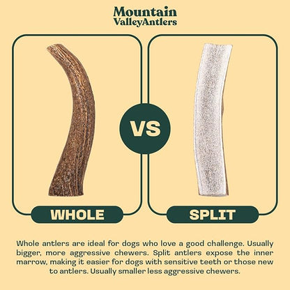 Mountain Valley Mixed Species Antlers for Dogs - 100% Natural & Organic Chew for Aggressive Chewers, No Odor, No Mess, Long Lasting - Wild-Foraged Naturally Shed Antler in USA - Grade A Pack (1 LB)