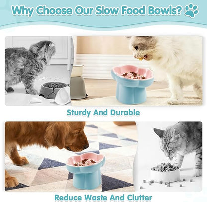 Cat Slow Feeder Bowl Set - 1 Pcs Pastel Series Cat Plate for Dry and Wet Food - Cute Maze Feeder Dish for Healthy Eating- Slow Feeding Bowls Whisker Friendly - Dishwasher Safe(Blue)