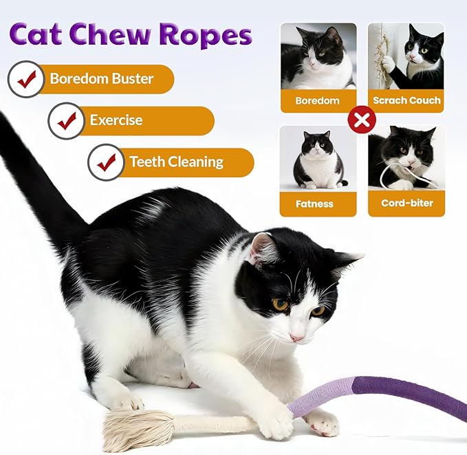Cat Toys for Indoor Cats, Kitten Toys for Indoor Kittens, Catnip Rope Chew Toys for Teeth Cleaning, Interactive Cat String Toy, Kitty Kicker Toy, 3 Pack (Plus 3 Pouches of Catnip)