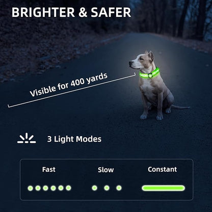 Super Bright LED Dog Collar - Fully Waterproof & Adjustable Glow Collar - USB-C Rechargeable for Night Walking, Safety - Flashing Lighted Collar for Dogs(Green,L/XL)