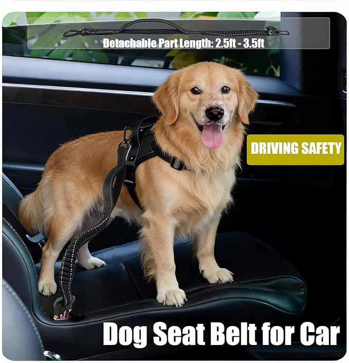 Heavy Duty No-Pull Dog Leash, 9.5ft Hands-Free Waist & Crossbody Bungee Leash with Adjustable Belt, Detachable Car Seat Belt & Reflective Strip for Large Medium Dogs, Black