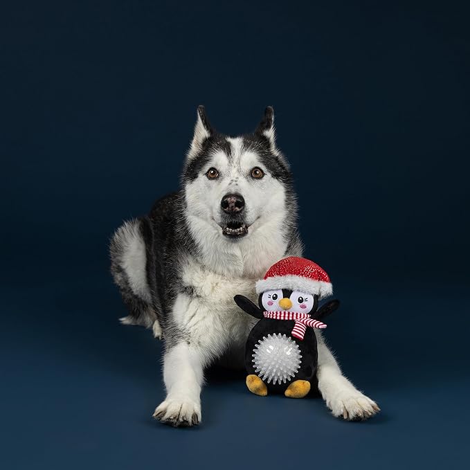 Fringe Studio Pet Toy, Play IT Cool Penguin Plush Dog Toy, PetShop Collection (314632)