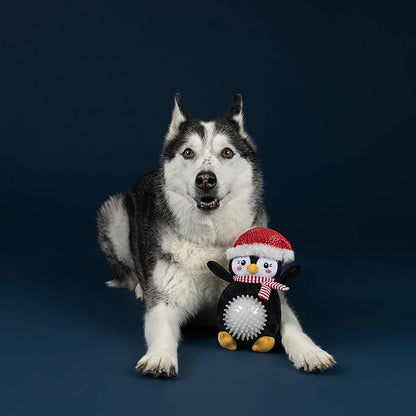 Fringe Studio Pet Toy, Play IT Cool Penguin Plush Dog Toy, PetShop Collection (314632)