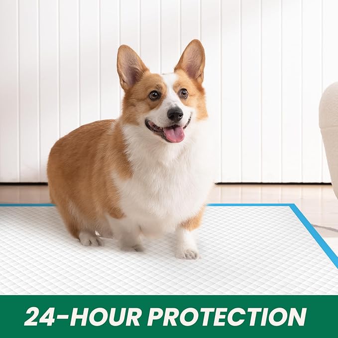 200 Count Large Dog & Cat Puppy Pee Pads - 28"x30" Absorbent Potty Training Pads | Leakproof Quick-Dry Disposable Pet Pads for Puppies, Dogs & Cats | Indoor, Outdoor, Litter Box, Housebreaking Use