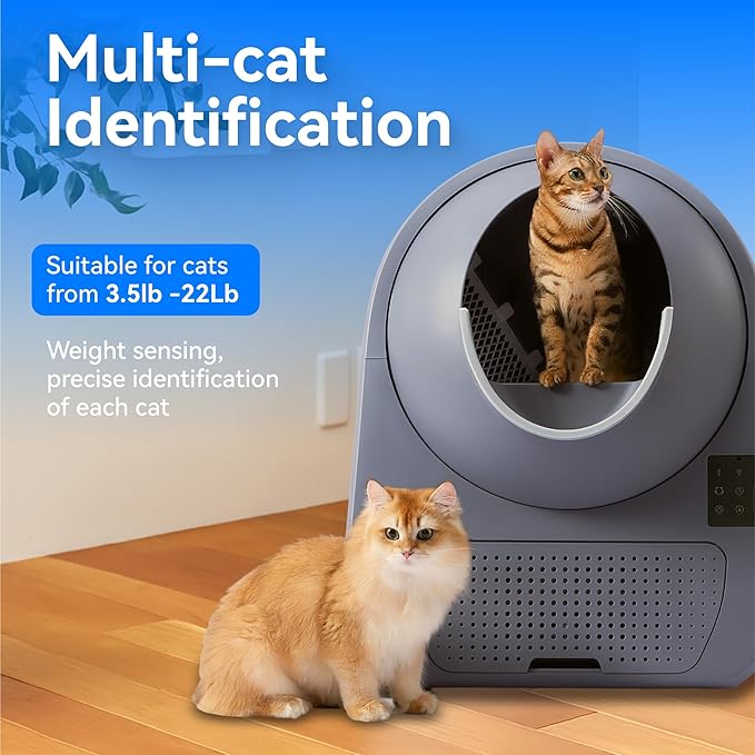 CATLINK Self Cleaning Cat Litter Box for Multiple Cats, Health Monitoring, Automatic Litter Box with APP, Odor Control, 65L Safe Pinch-Free Robot Cat Litter Box, Grey/Large (Luxury Pro-X)