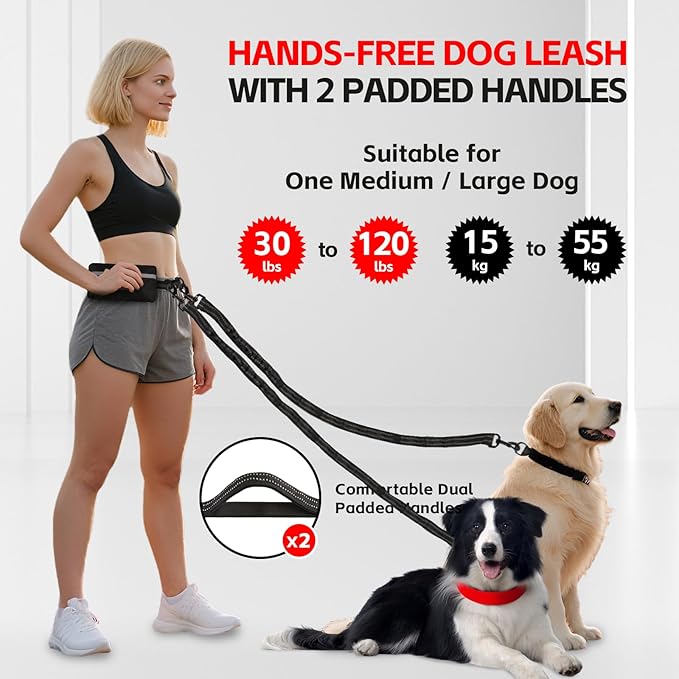 Hands Free Dog Leash for 2 Dogs with Waist Belt & Large Pouch, Waist Leash for Dog Walking, Running & Hiking, Double Retractable Dog Leashes for Medium/Large Dogs with Dual Handles, Black